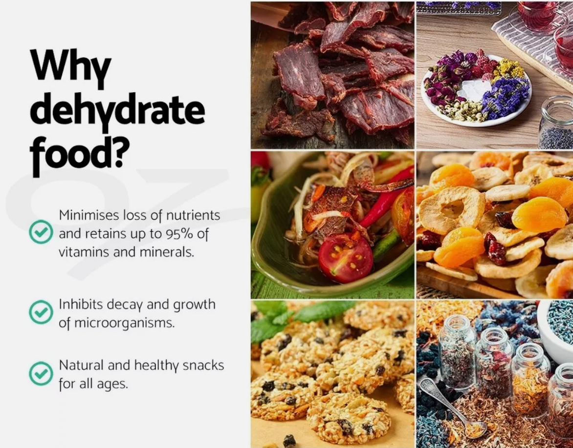 Homemade dried fruit and snacks prepared using an electric food dehydrator.