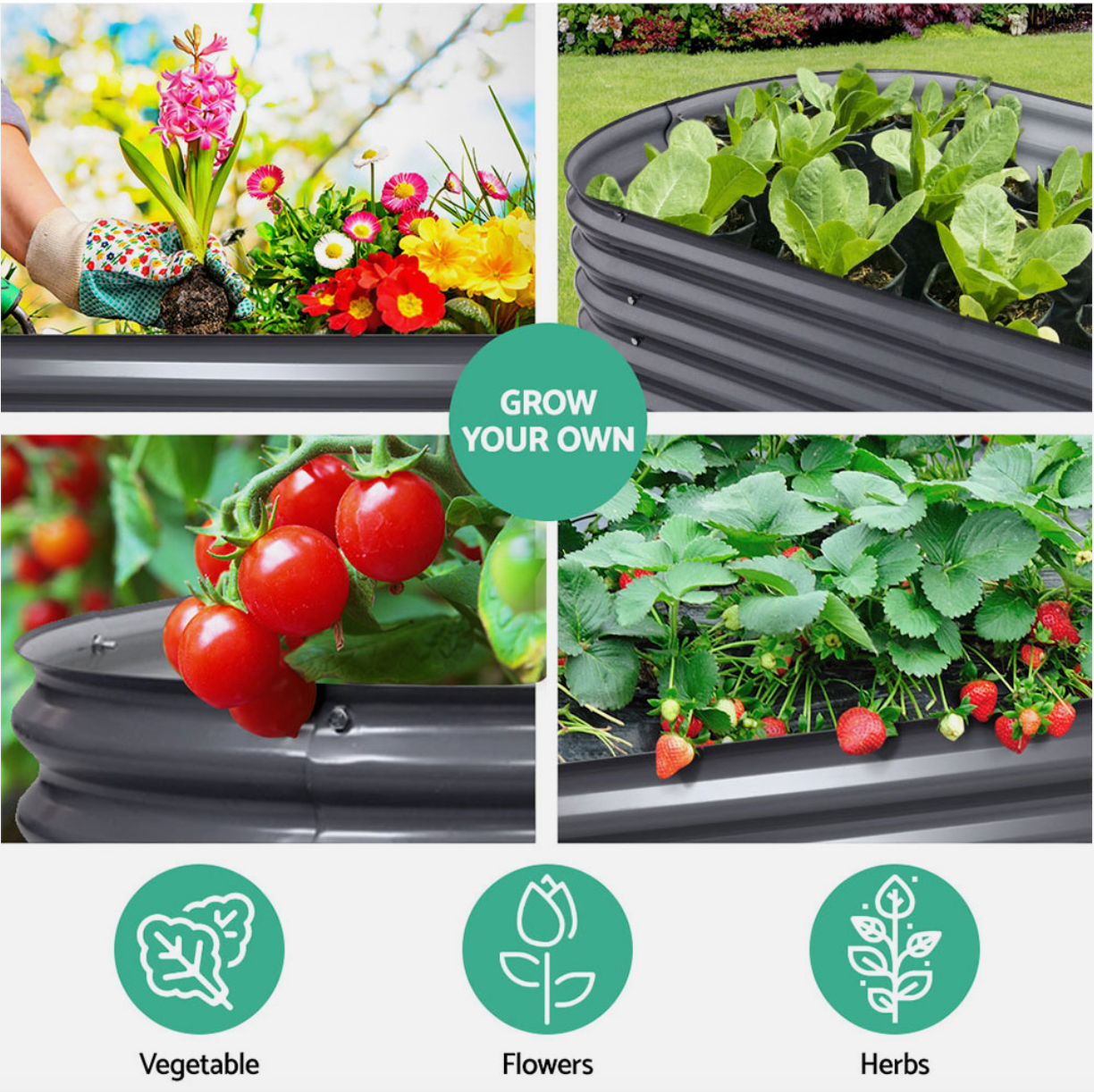 Vegetable plants growing in raised garden bed outdoors