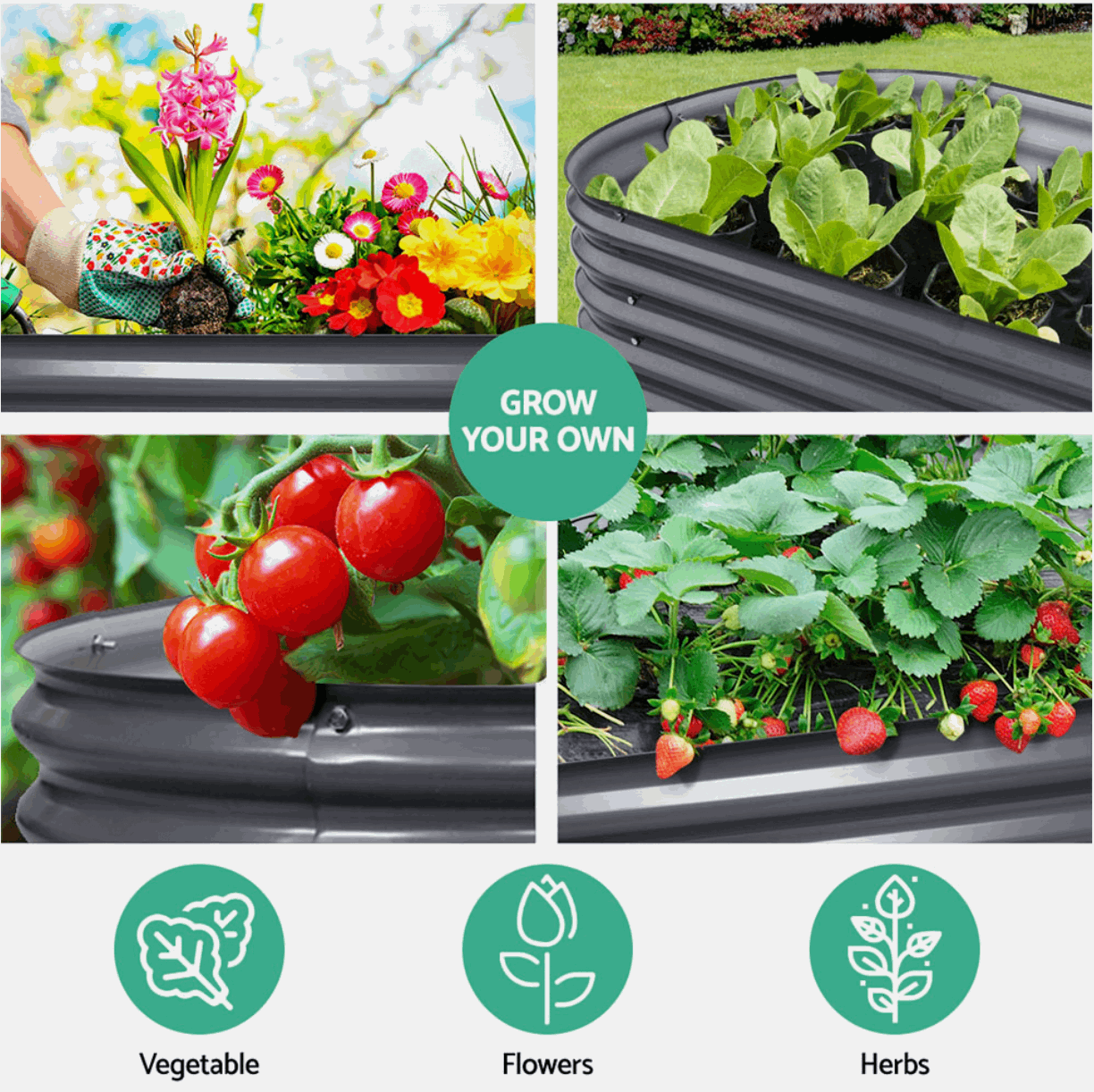 Vegetable plants growing in raised garden bed outdoors