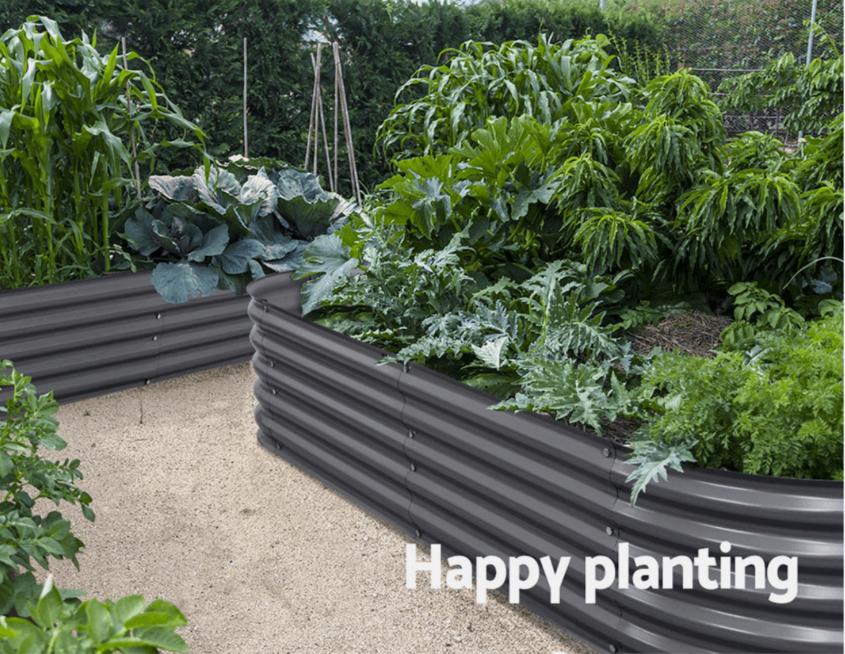 Curved raised garden bed with thriving plants in pathway garden